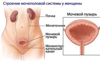 Может ли быть задержка месячных при остром цистите?