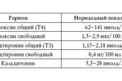 Нормы гормонов щитовидной железы